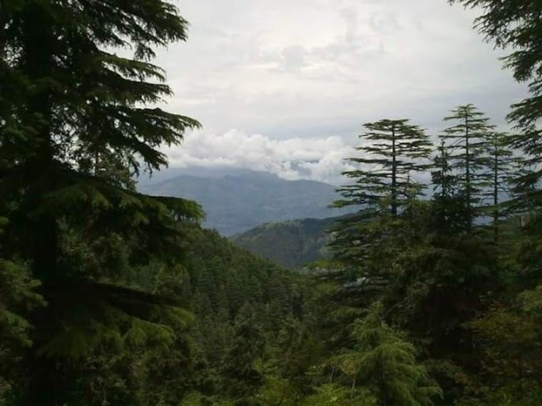 Kalatop Wildlife Sanctuary-4